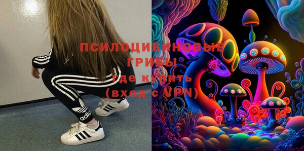 Альфа ПВП Алексин