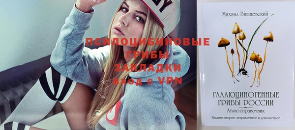 Альфа ПВП Алексин