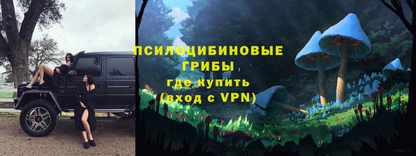 дмт Михайлов