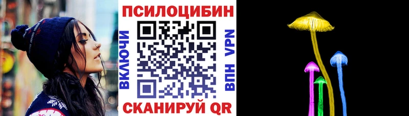 дарнет шоп  Жуковский  hydra ССЫЛКА  Галлюциногенные грибы мухоморы 